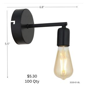 Black Wall Sconce Light Fixture